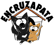 petstore